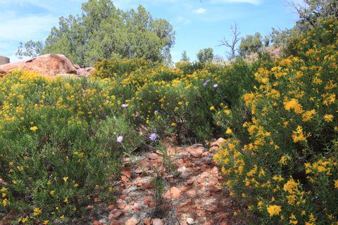 Sedona Seven Arches Live